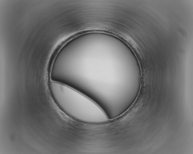 X0000110681072200906121030