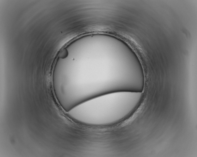 X0000110681073200906121030