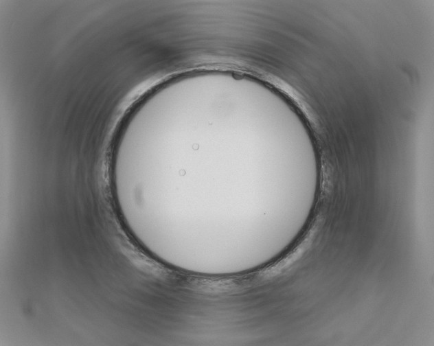 X0000110681074200906121030