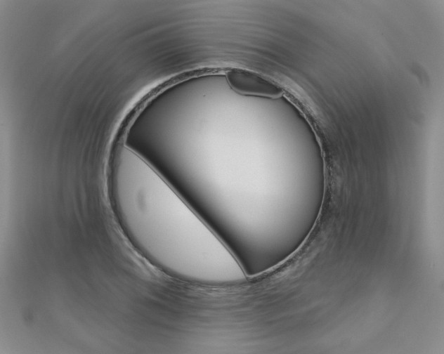 X0000110681076200906121030