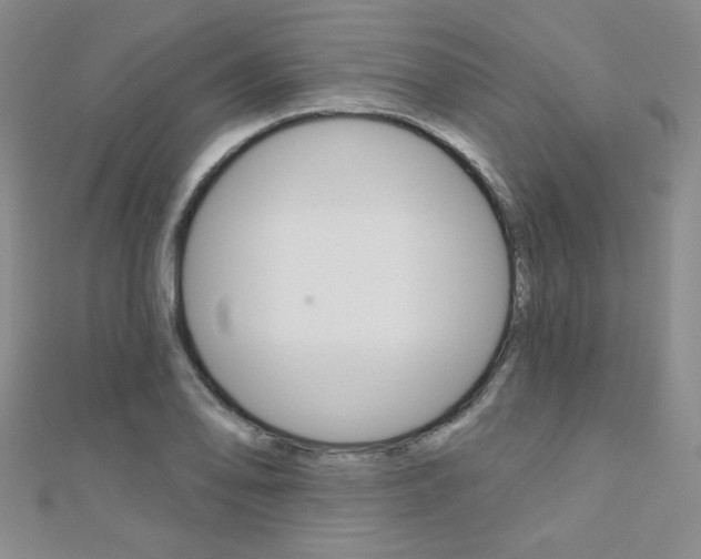 X0000110681078200906121030