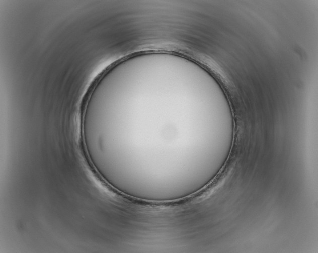 X0000110681079200906121030