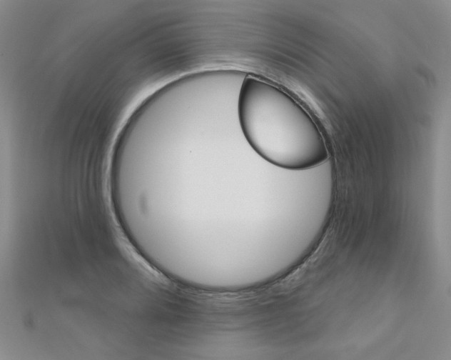 X0000110681080200906121030