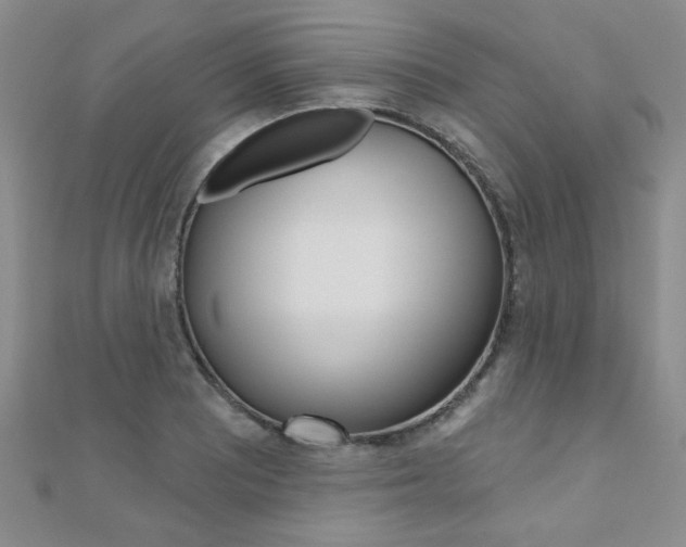 X0000110681081200906121030