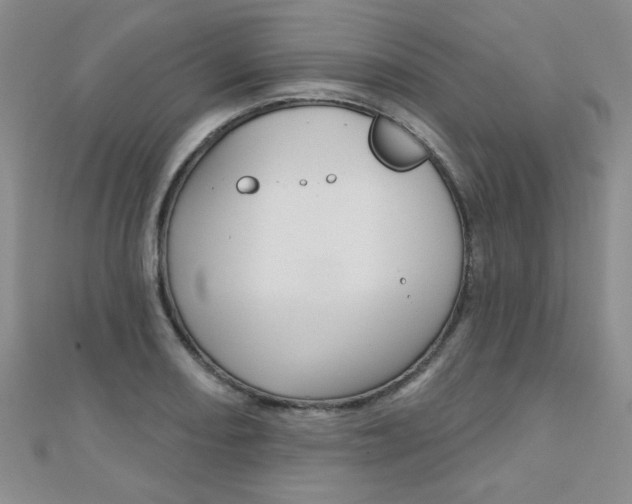 X0000110681082200906121030