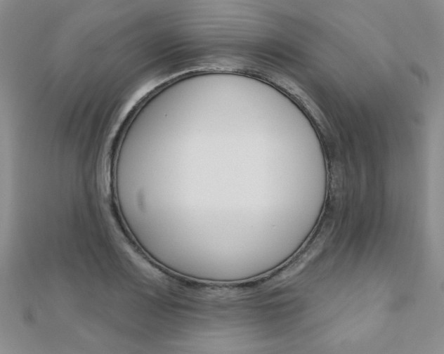 X0000110681083200906121030