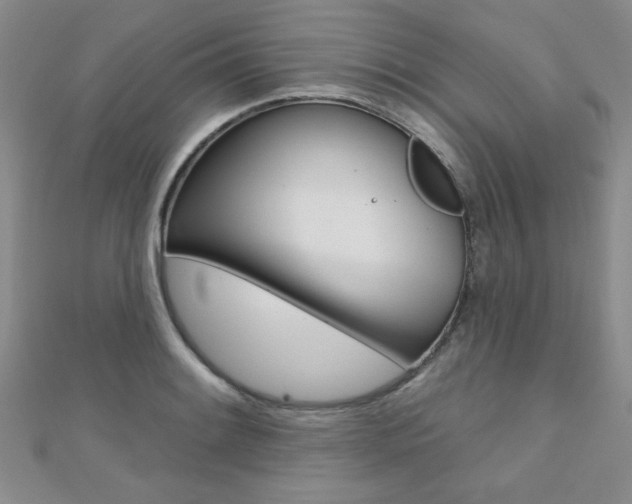 X0000110681084200906121030