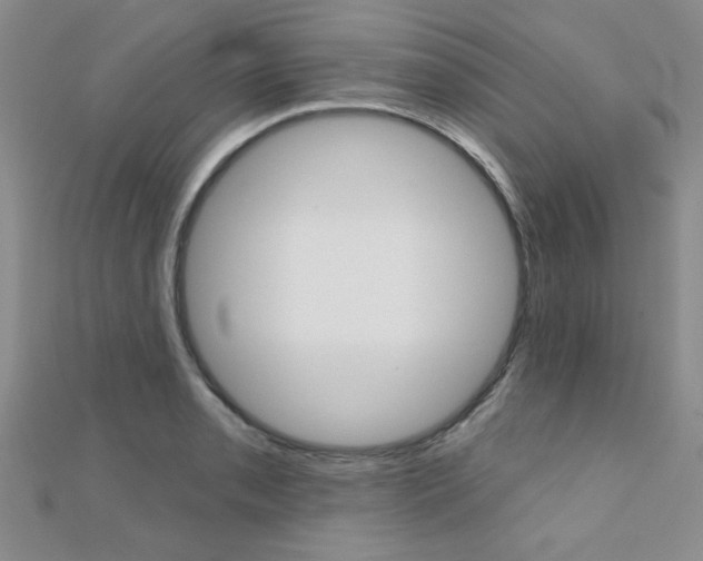 X0000110681085200906121030
