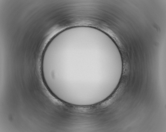 X0000110681086200906121030
