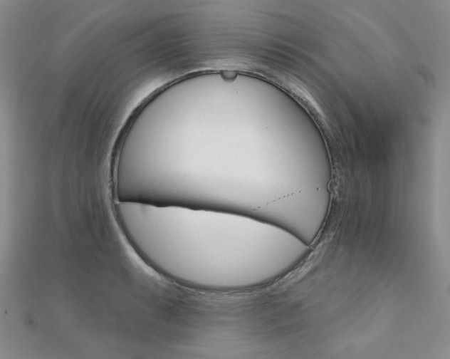 X0000110681087200906121030