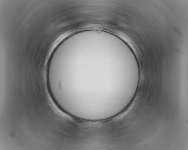X0000110681090200906121030