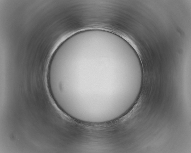 X0000110681093200906121030