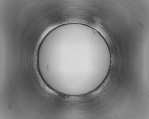 X0000110681094200906121030