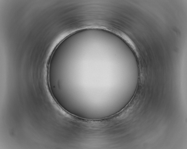 X0000110681096200906121030