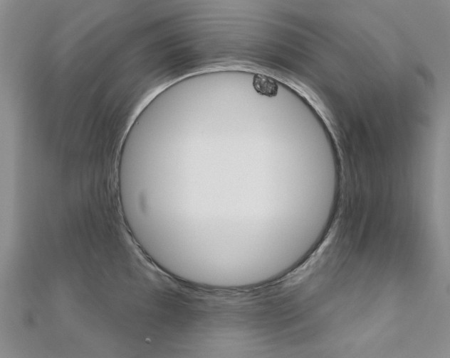 X0000110681097200906121030