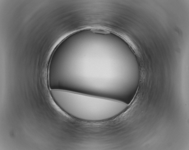X0000110681100200906121030