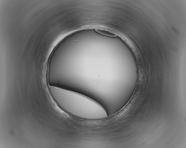 X0000110681102200906121030