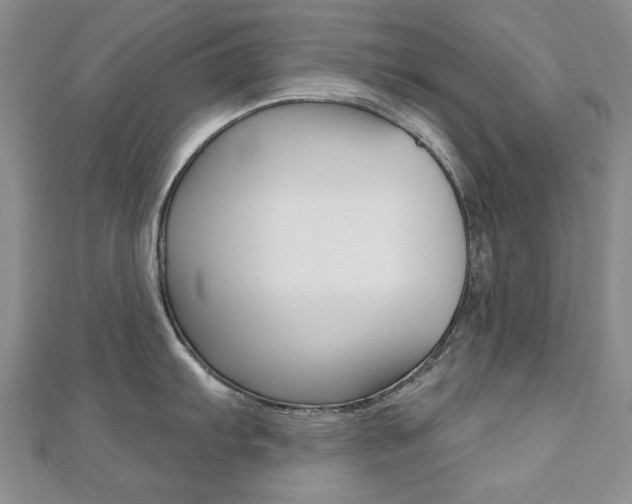 X0000110681103200906121030