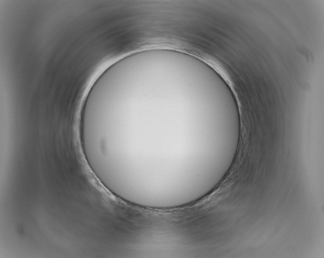 X0000110681104200906121030