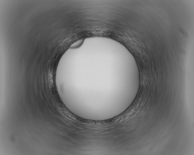 X0000110681106200906121029