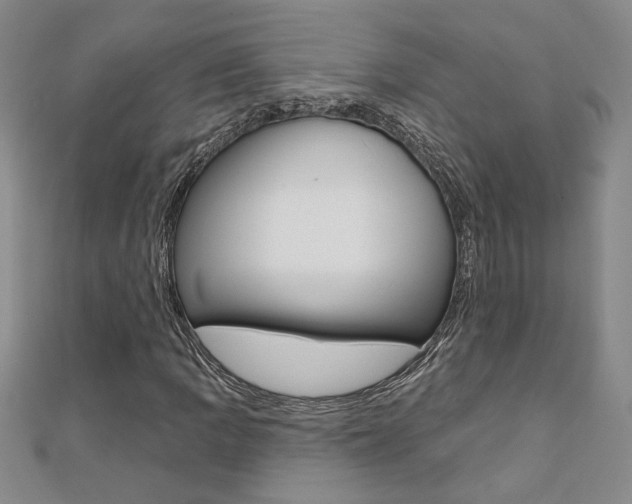X0000110681109200906121029