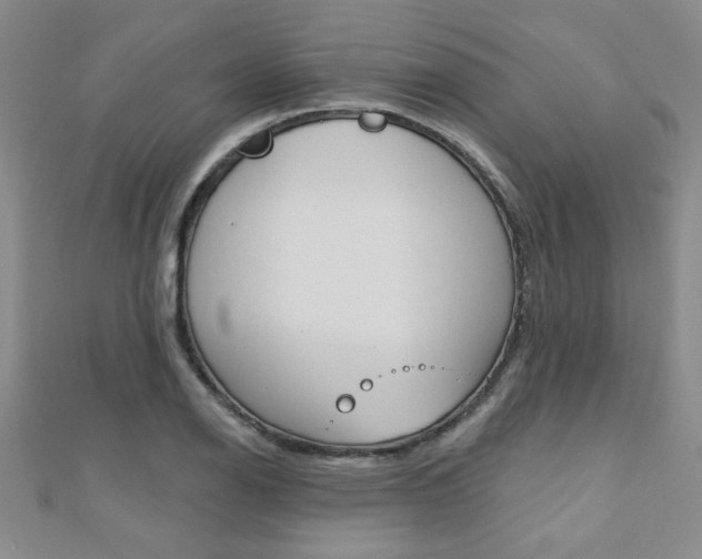 X0000110681126200906121029