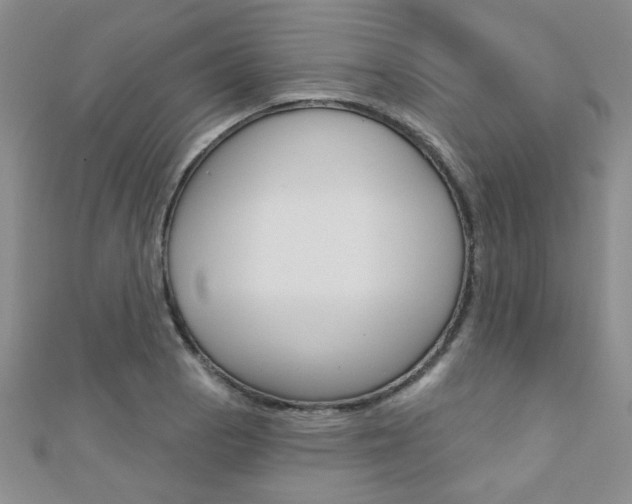 X0000110681129200906121029