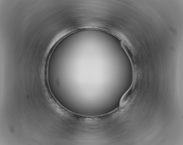 X0000110681138200906121029