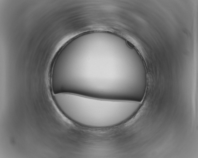 X0000110681141200906121030
