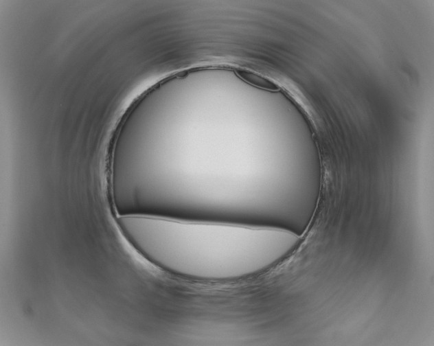 X0000110681143200906121030