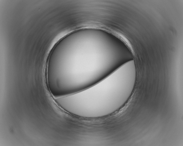 X0000110681146200906121030