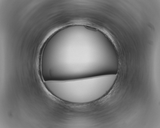X0000110681147200906121030