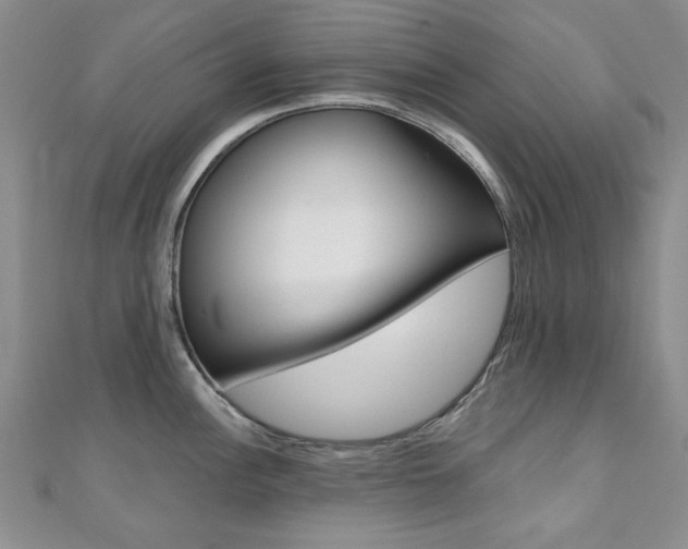 X0000110681148200906121030