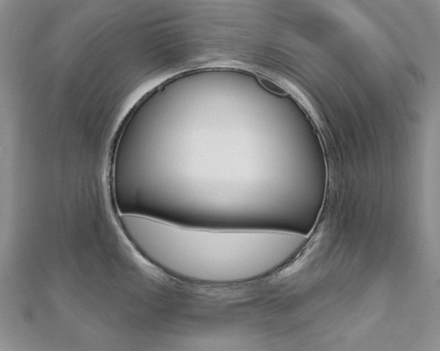 X0000110681149200906121030