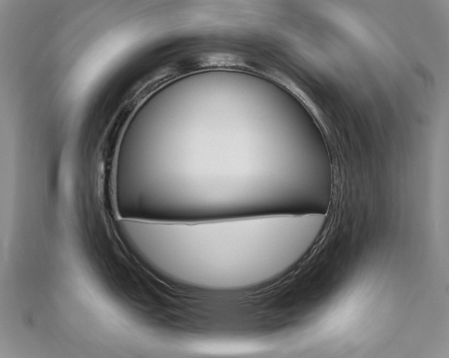 X0000110681151200906121030