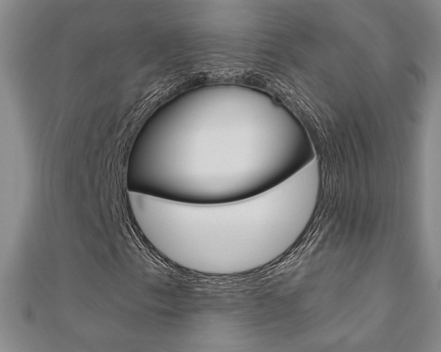 X0000110681153200906121029