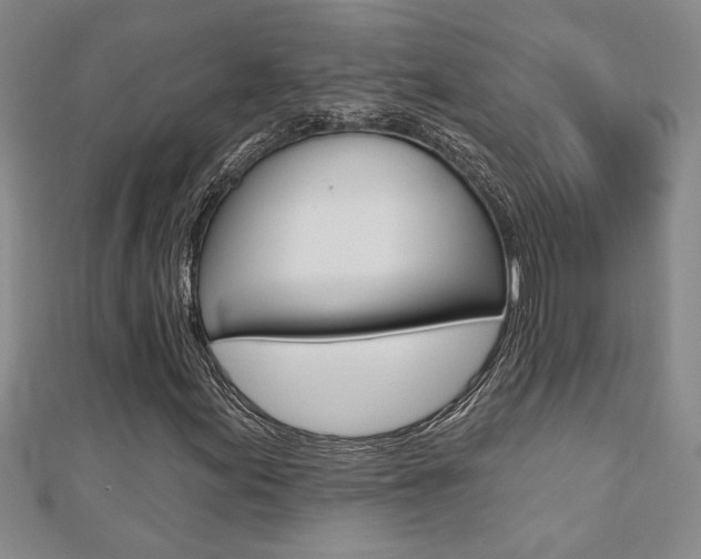X0000110681155200906121029