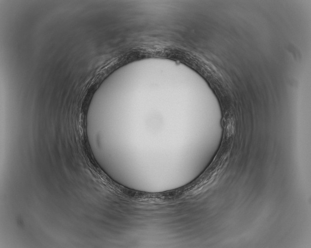 X0000110681156200906121029