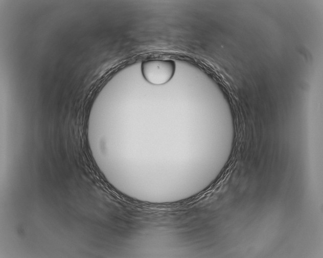X0000110681157200906121029