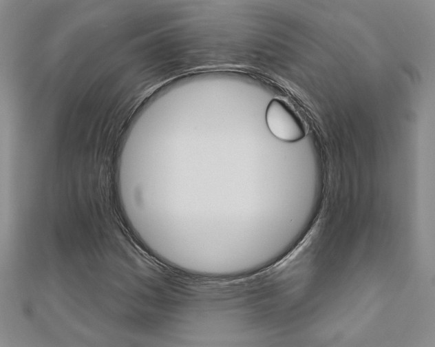 X0000110681161200906121029