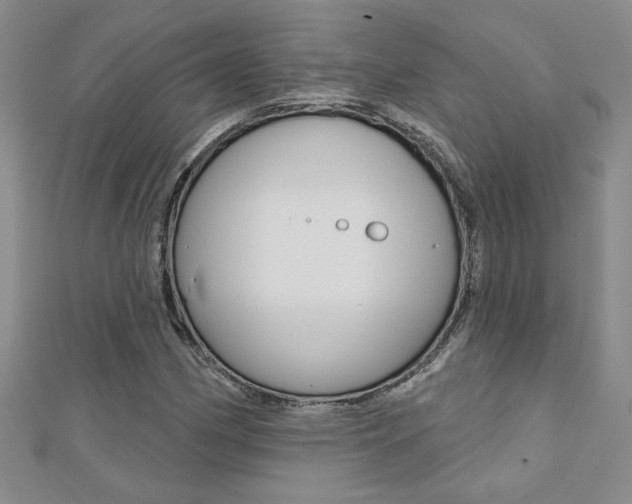 X0000110681162200906121029