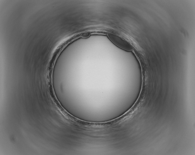 X0000110681164200906121029
