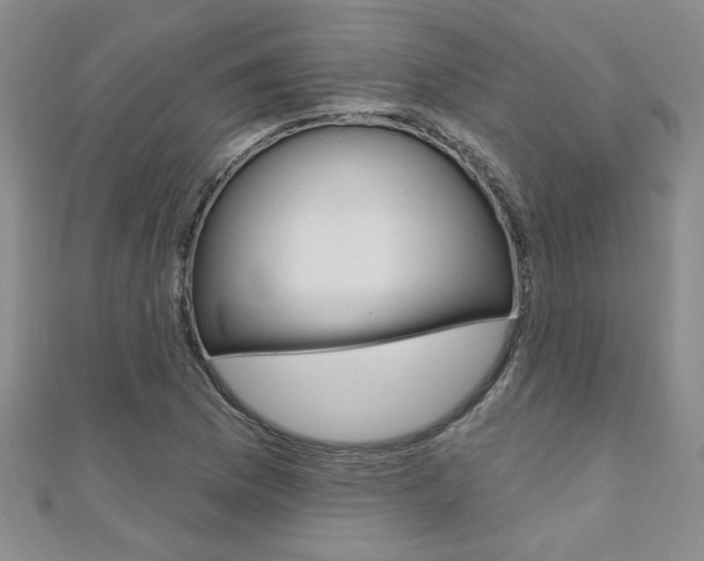 X0000110681169200906121029