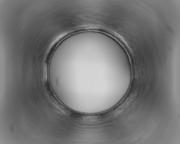 X0000110681171200906121029