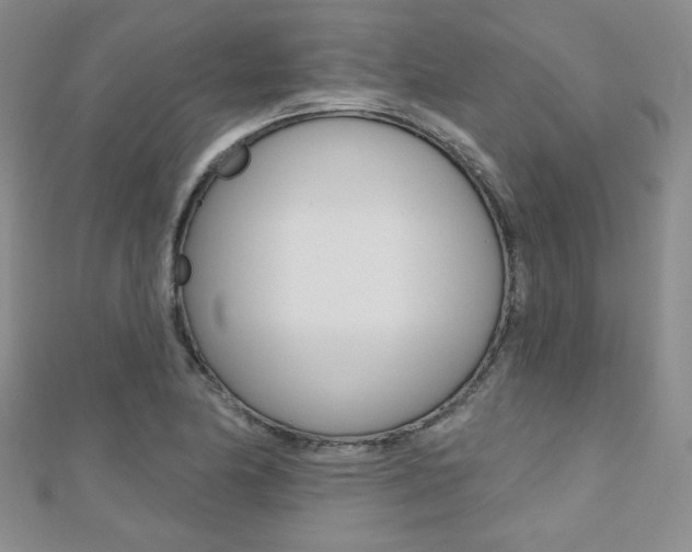 X0000110681174200906121029