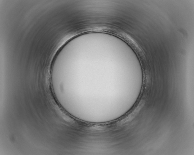 X0000110681178200906121029