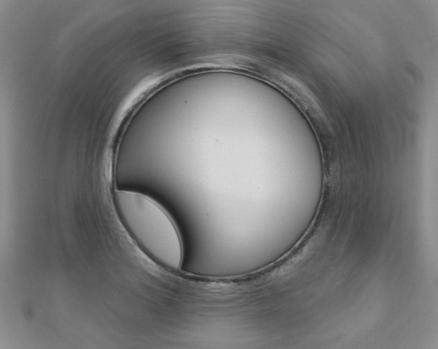 X0000110681180200906121029