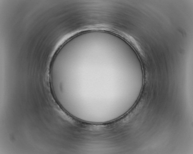 X0000110681184200906121028