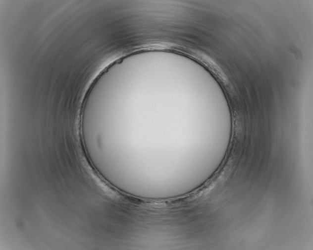 X0000110681186200906121028
