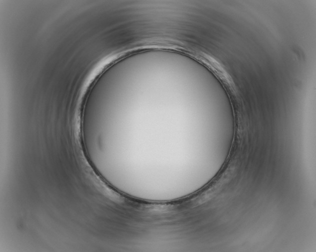 X0000110681188200906121028